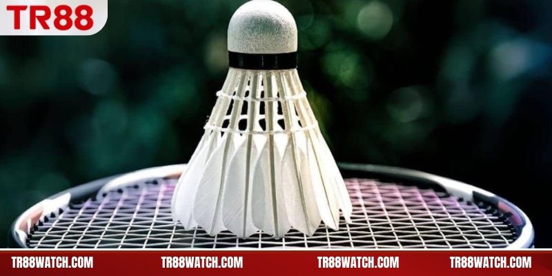 Các dạng kèo phổ biến trong cá cược cầu lông