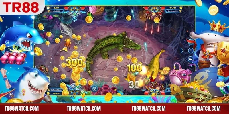 Khu vực theo dõi trong bắn cá 5 sao