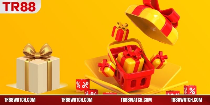 Phân nhóm khuyến mãi TR88
