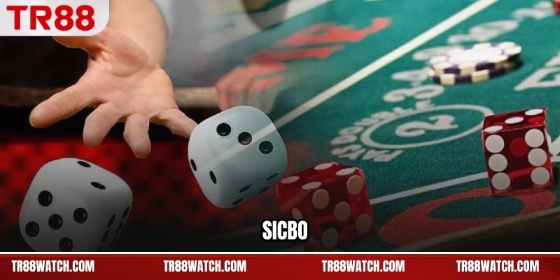 Sicbo Là Gì? Cách Chơi Và Các Cửa Cược Dễ Hiểu Nhất